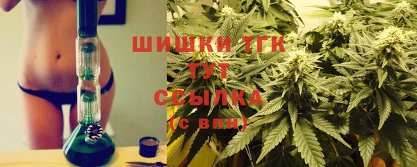 шишки Алзамай