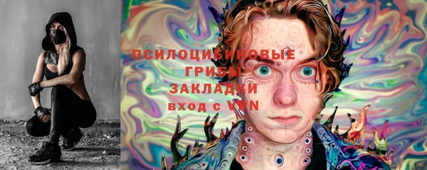 шишки Алзамай